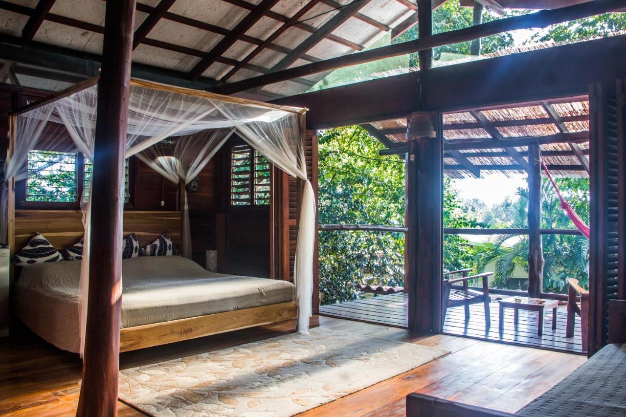 Funky Monkey Lodge Playa Santa Teresa  Exterior foto