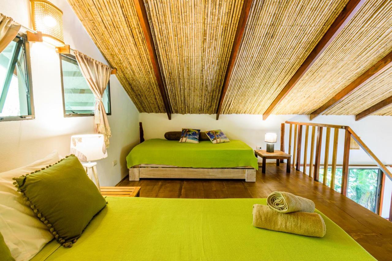 Funky Monkey Lodge Playa Santa Teresa  Exterior foto