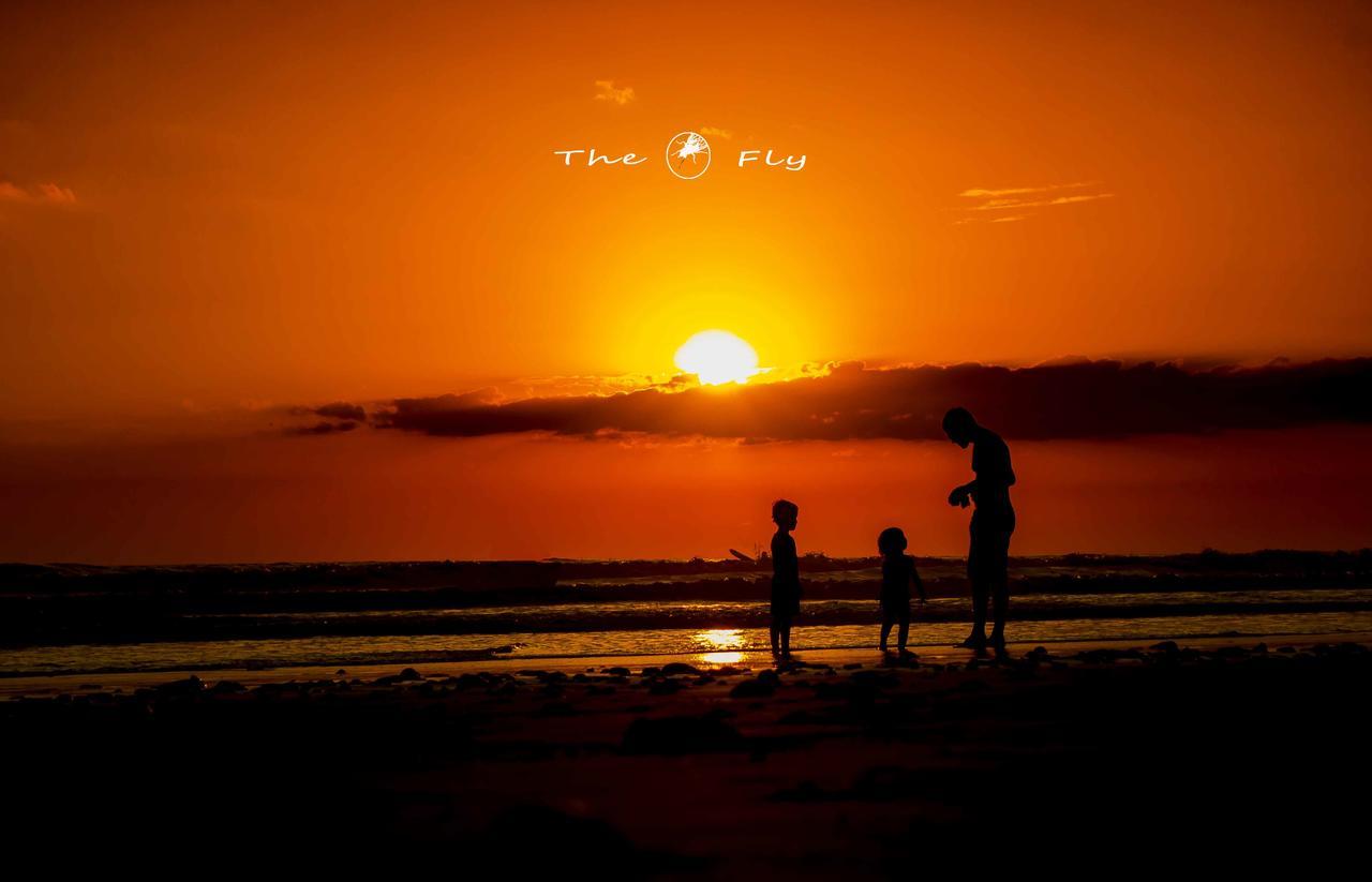Funky Monkey Lodge Playa Santa Teresa  Exterior foto